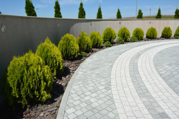 Best Professional Driveway Pavers  in Rio Rancho, NM